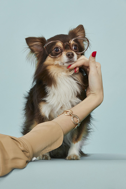 Ópticas Meye Chic Pets by photographer Andrea Bielsa | 8AM artist management