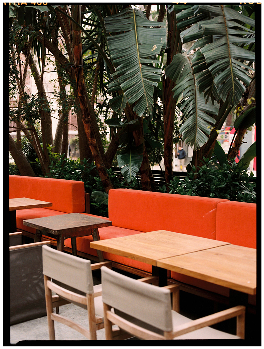 Chandigarh Café - Restaurant - Analogic - Beatriz Janer - 8AM - Photographer 
