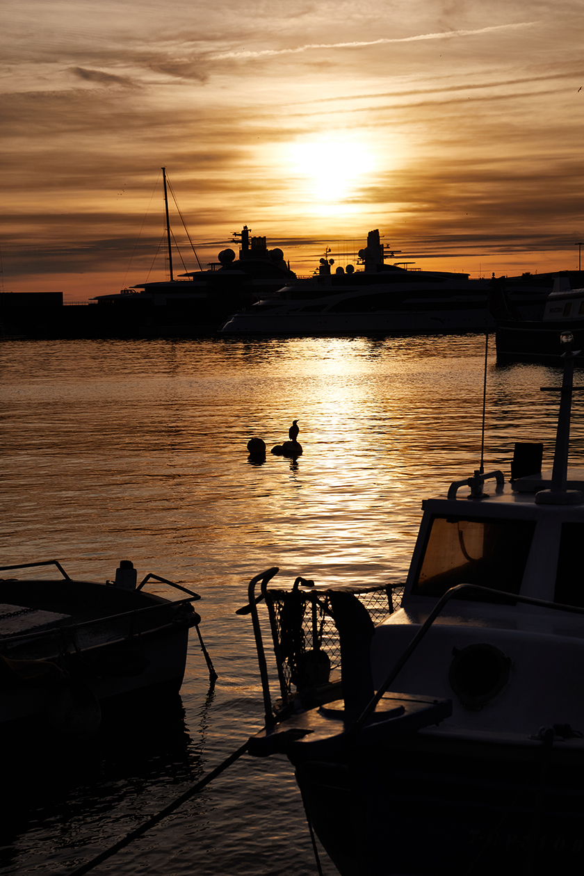 A sunset from a harbor, with boats and a cormorant on a stone Catalunya x Conde Nast Traveler magazine. 