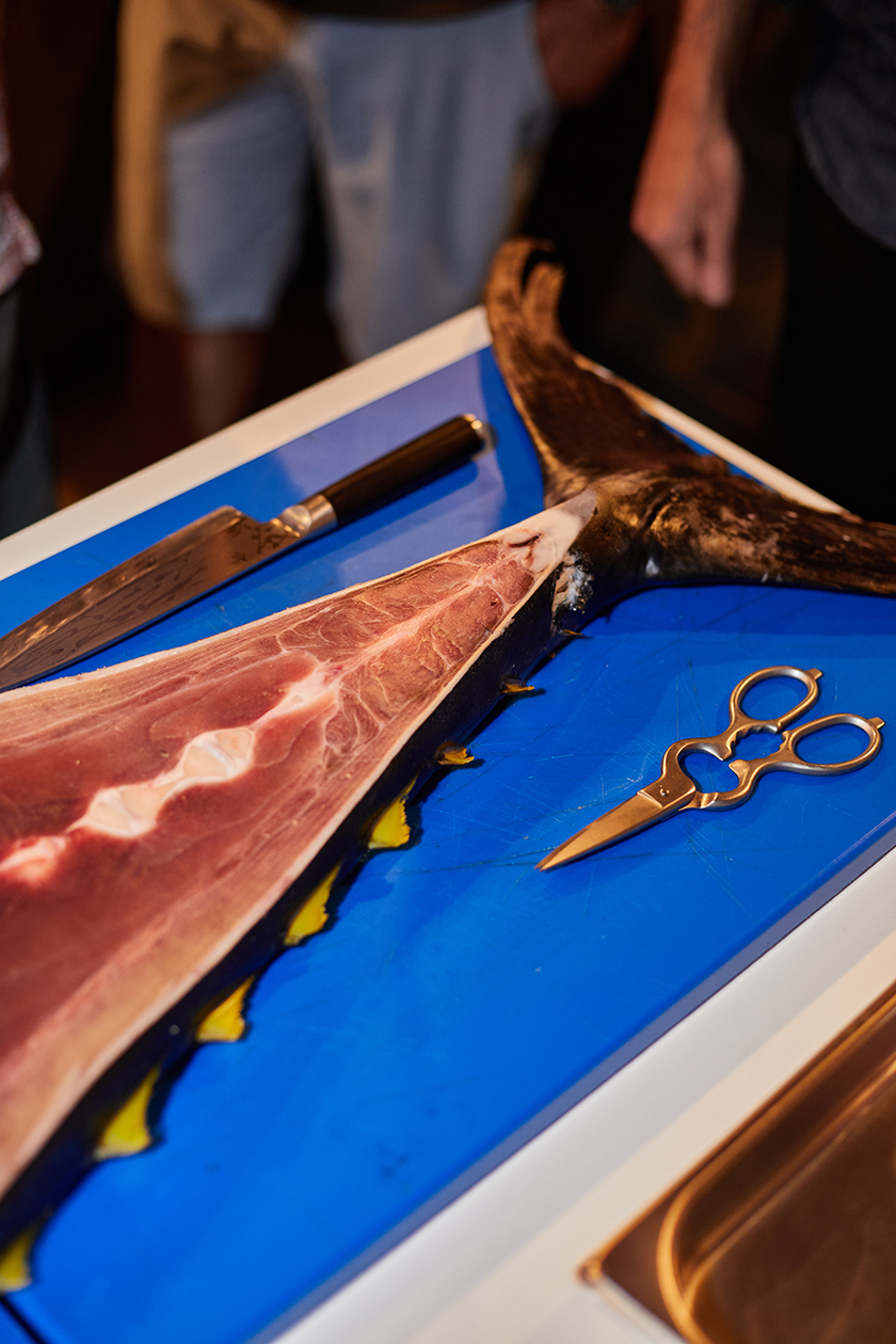 Image of the tail of a fresh tuna during the ronqueo of the tuna