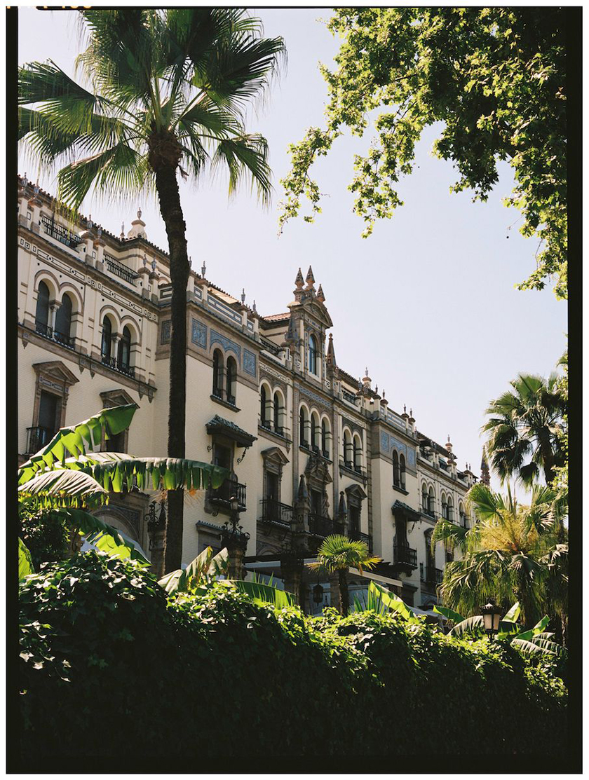 Hotel Alfonso XIII  with a palm tree and plants in front of it.