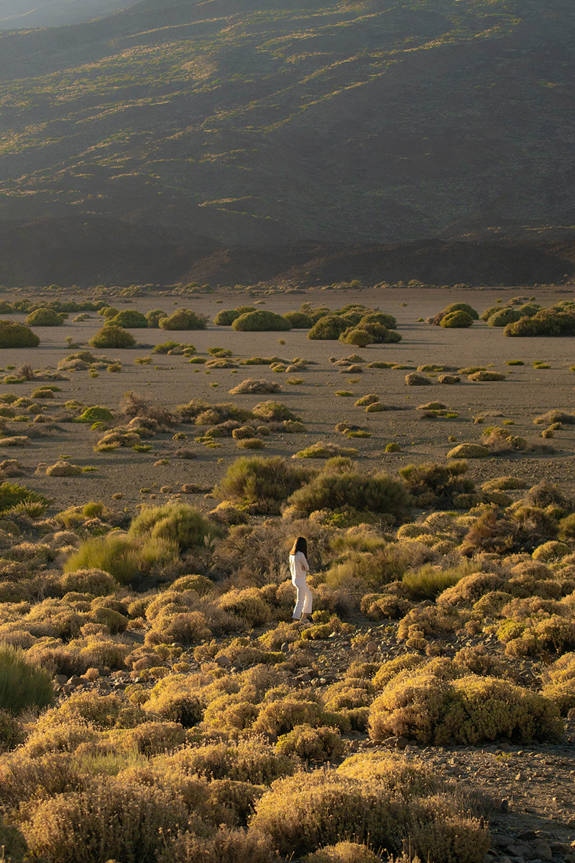 landscape of a volcanic mountain with a lonely girl in Tenerfide. 