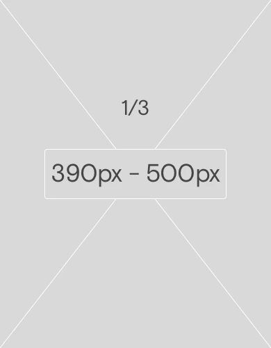 foto_base_1_3_390_500