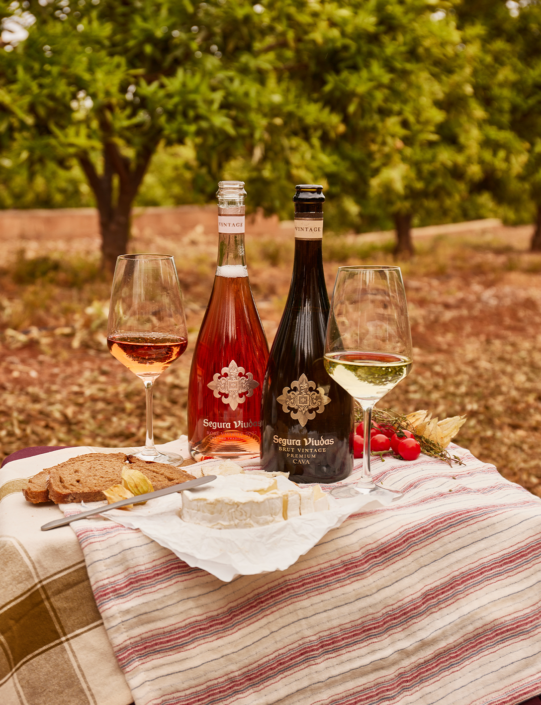 Segura Viudas - Freixenet- 2025- 8AM