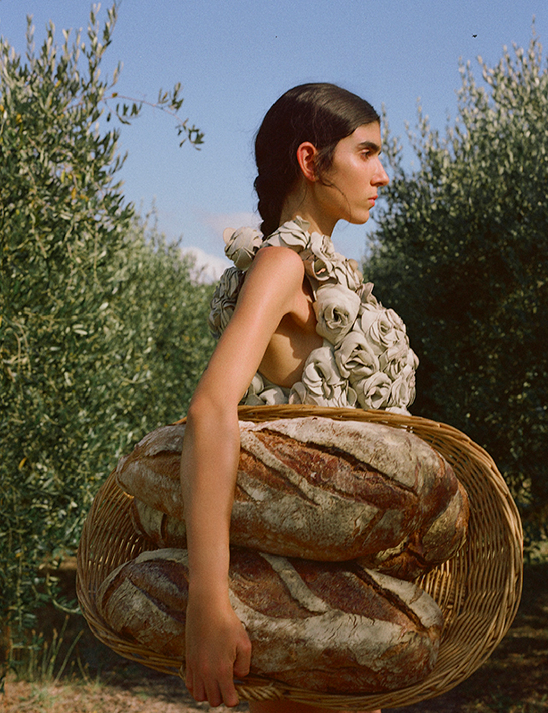 Numero Netherlands_ Pedro Braga_ Editorial La Sardana _ 2024