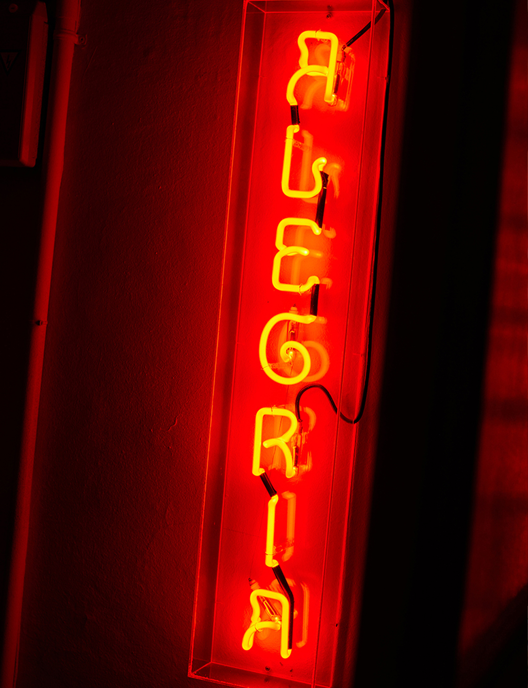 Bar Alegria - Beatriz Janer- 8AM