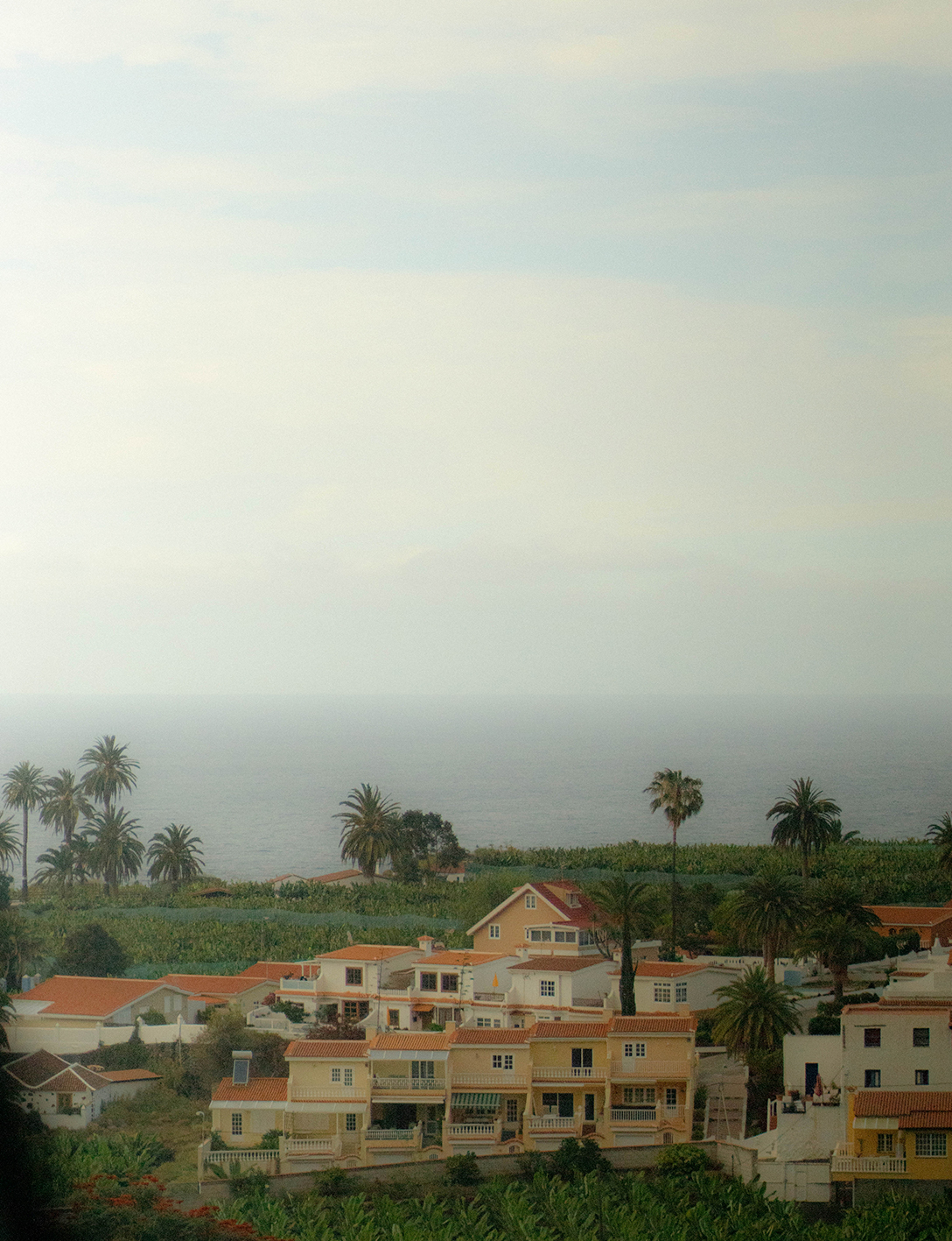 TENERIFE - Maria Huerga - 8AM