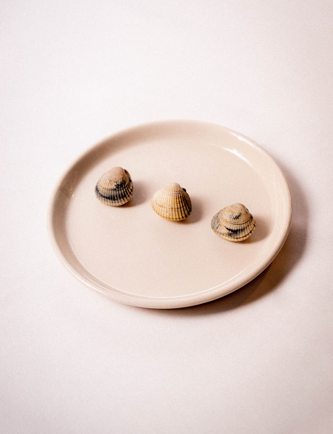 Maria Huerga – Photographer (represented by 8AM) for La Gormanda.