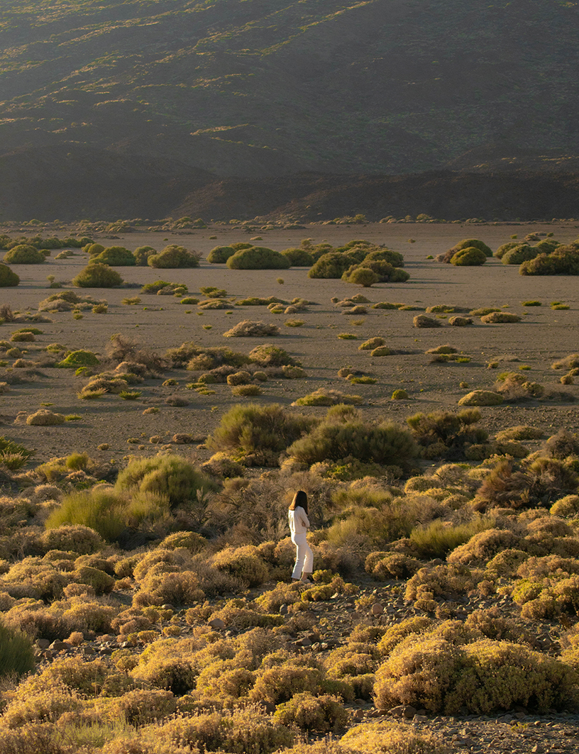 TENERIFE - Maria Huerga - 8AM