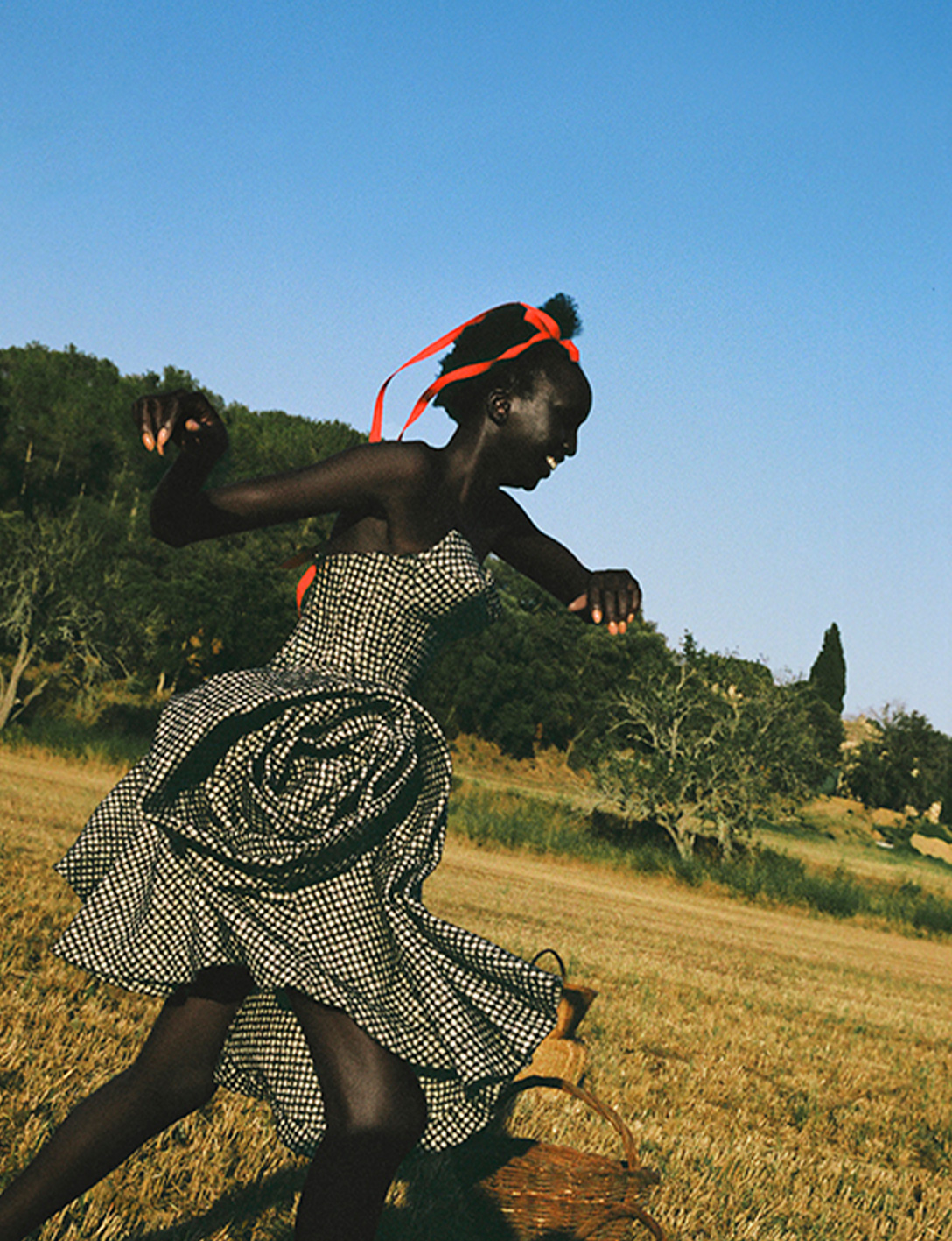 Numero Netherlands_ Pedro Braga_ Editorial La Sardana _ 2024