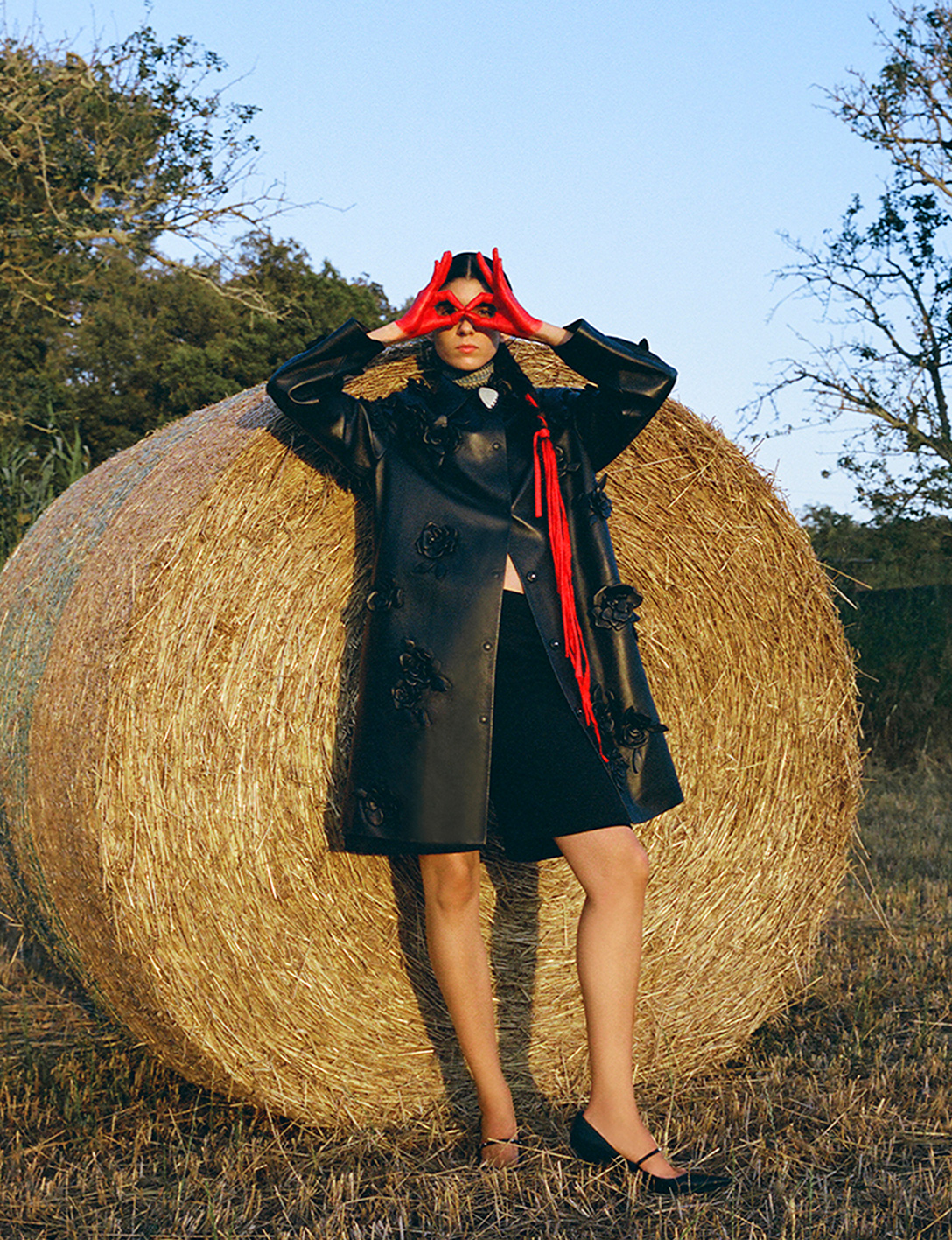 Numero Netherlands_ Pedro Braga_ Editorial La Sardana _ 2024
