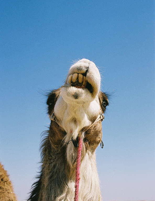 MOROCCO_DOCUMENTARY_PHOTOGRAPHER_PEDRO_BRAGA_PRODUCTION_BARCELONA_8AM