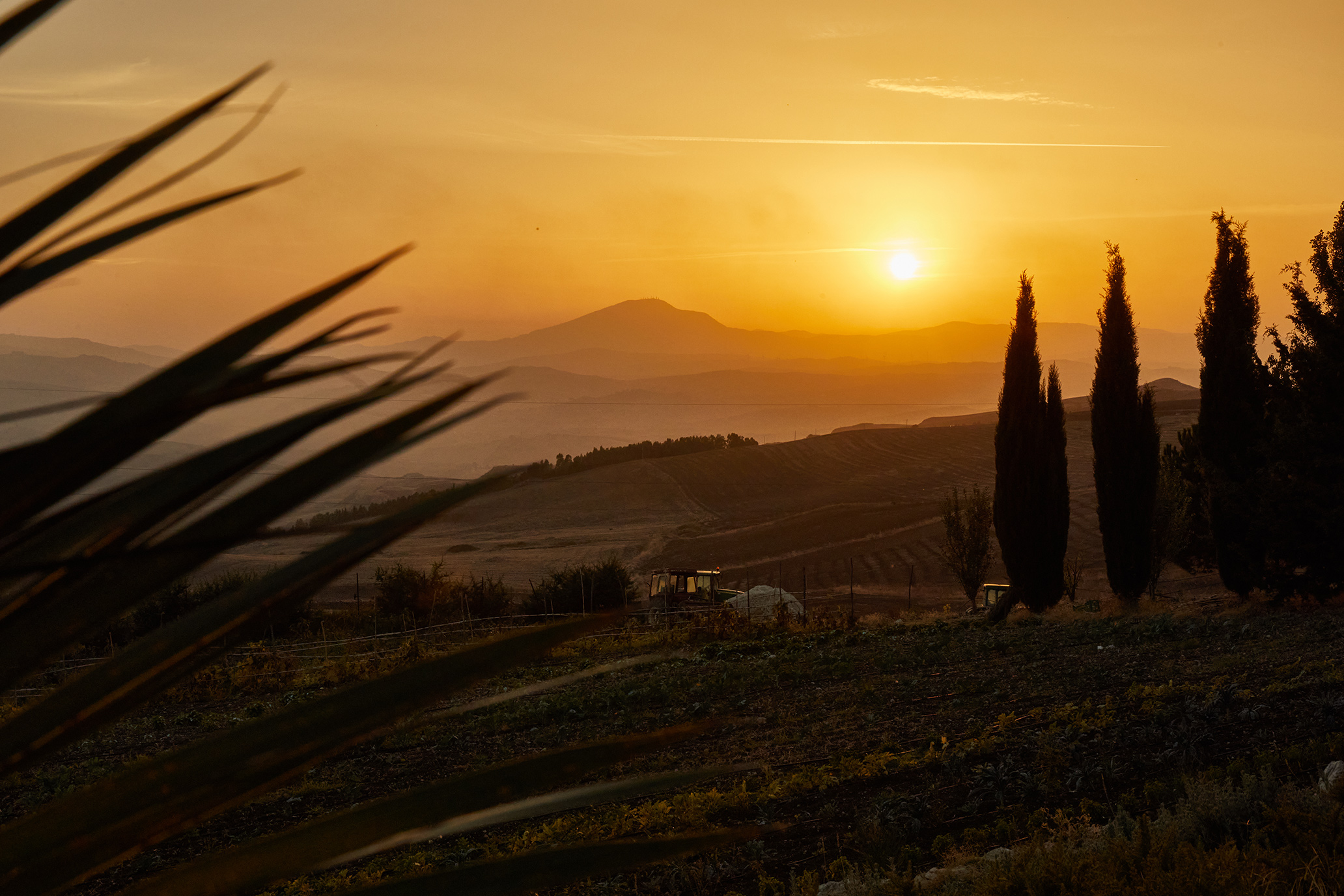 Gastronomic Tour around Sicily with Roads and Kingdoms, photographed by Beatriz Janer