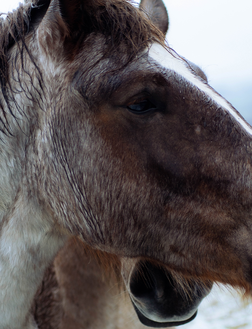 LANDSCAPES 2025 - MARIA HUERGA - DOCUMENTARY PHOTOGRAPHY