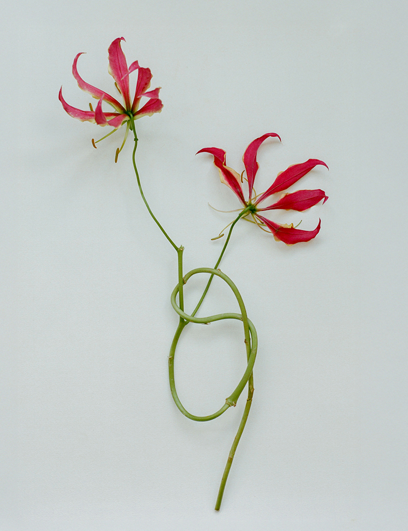 Número Switzerland - Berta Pfirsich - Editorial December 2025