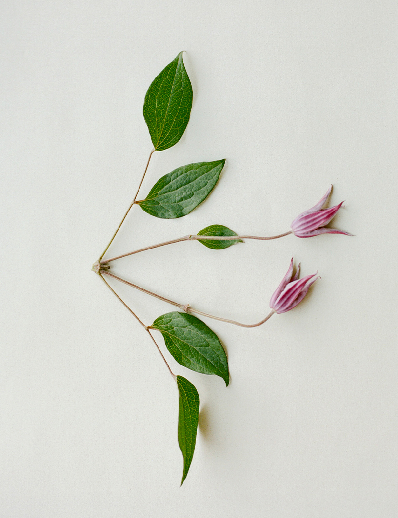 Número Switzerland - Berta Pfirsich - Editorial December 2025