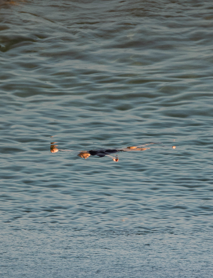 LANDSCAPES 2025 - MARIA HUERGA - DOCUMENTARY PHOTOGRAPHY