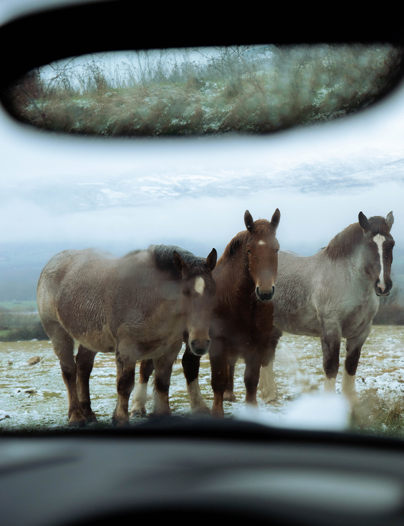LANDSCAPES 2025 - MARIA HUERGA - DOCUMENTARY PHOTOGRAPHY