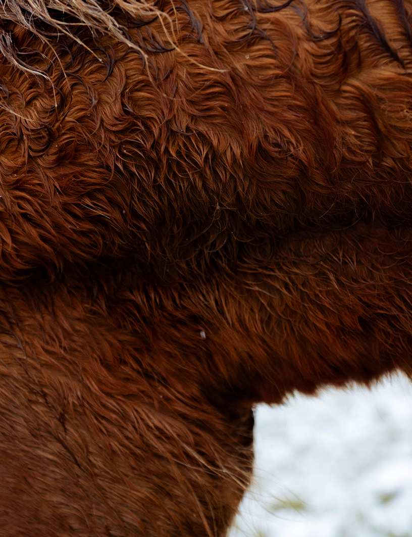 LANDSCAPES 2025 - MARIA HUERGA - DOCUMENTARY PHOTOGRAPHY